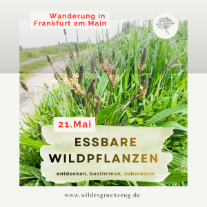 fEWW4 21. Mai 2026 - Wilder Workshop | Essbare Wildpflanzen Frankfurt